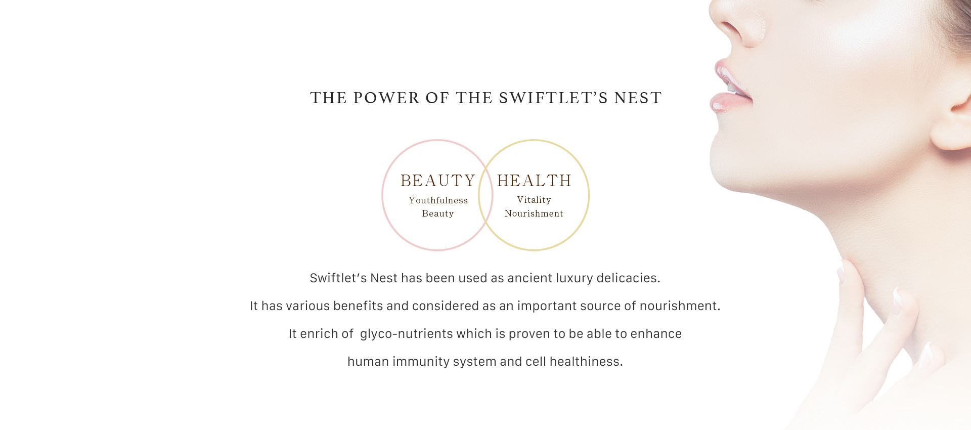 Mysterious power of swiftlet's nest